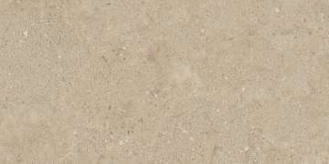 Керамический гранит NP02 30,6x60,9x8 Непол.